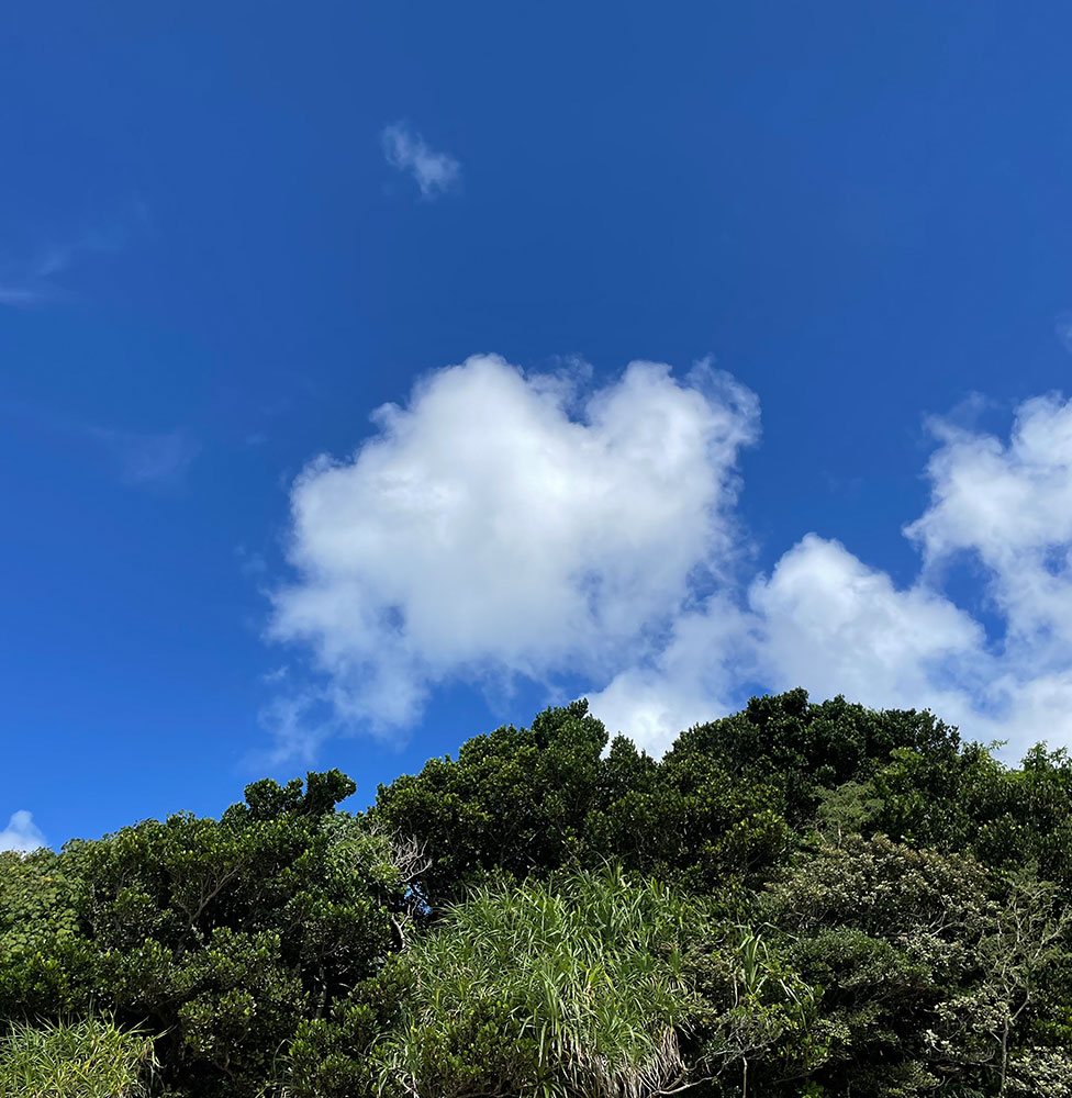 あかばなー治療室